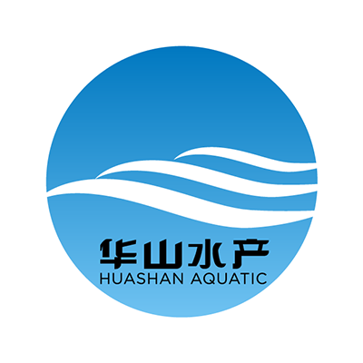 Huashan Technology