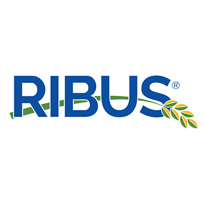 RIBUS