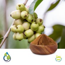 Eugenia Jambolana (Jamun) Powder by S.A. Herbal Bioactives