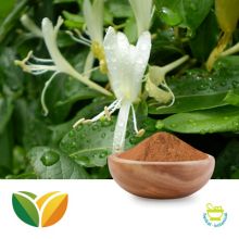 Honeysuckle 5% Chlorogenic Acid by Tianhua Pharmaceutical