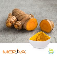 Meriva (Bioavailable Curcumin) by Indena