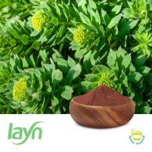 Rhodiola Rosea P.E. 3% Rosavins 1% Salids by Layn Natural Ingredients