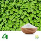 Asiaticoside 40% by Shaanxi Green Bio-Engineering