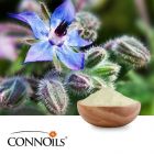Borage Oil Powder 60% on Maltodextrin, Gum Arabic and Modified Tapioca Starch by Connoils