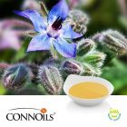 Borage Seed Oil 20% CP REF GRAS by Connoils