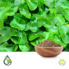 Centella Asiatica Extract 10:1 20% Saponin by Gravimetry by S.A. Herbal Bioactives