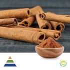 Cinnamon Extract 10:1 by KS Nutripharma