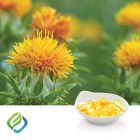 CLA Softgel by FocusFreda