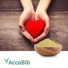 Coenzyme Q10 by AccoBio