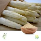 Conventional Asparagus Powder by Qimei