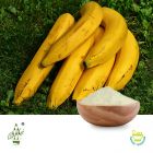 Conventional Banana Powder by Qimei