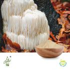 Conventional Lion's Mane Powder by Qimei