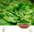 Conventional Spinach Powder by Qimei