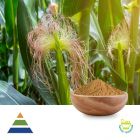 Corn Silk Extract 4:1 by KS Nutripharma