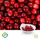 Cranberry Softgel by FocusFreda