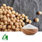 Daidzein 98% by Shaanxi Green Bio-Engineering