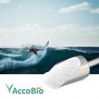 DL-3-Hydroxybutyric Acid Calcium Salt by AccoBio