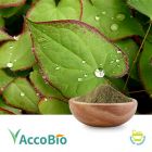 Epimedium Extract 10% Icariin by AccoBio