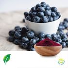 European Bilberry Extract 0.4% Anthocyanins HPLC by Sunnycare