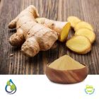 Ginger Extract 5% Gingerols by HPLC by S.A. Herbal Bioactives
