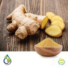 Ginger Powder (Steam Treated) by S.A. Herbal Bioactives