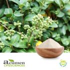 Guggul Extract 2.5% Guggulsterones UV by Acumen Lifesciences