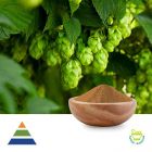 Hops Extract Flavones 8% by KS Nutripharma