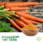 Beta Carotene 1% Powder by Pioneer Herb