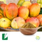 African Mango Seed Extract 10:1 by Longze Biotechnology