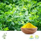 Organic Alfalfa Grass Powder