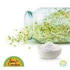 Alfalfa Sprout Powder
