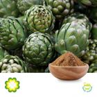 Artichoke Extract 5% Cynarin UV