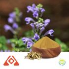 Baicalin Extract 10:1 TLC