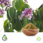 Banaba Extract 1% Corosolic Acid
