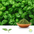 Basil (Ground) by American Botanicals