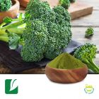 Broccoli Powder