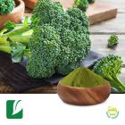 Broccoli Juice Powder by Longze Biotechnology