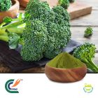 Broccoli Powder by TRG