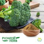 Broccoli Extract Sulforaphane 0.1% Powder by Pioneer Herb