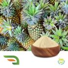 Bromelain 600 GDU/G by Joywin