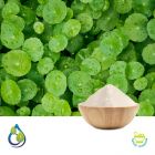 Centella Asiatica Powder (Steam Treated) by S.A. Herbal Bioactives