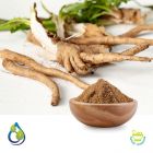 Chicory Root Powder (Steam Treated) by S.A. Herbal Bioactives