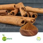 Cinnamon P.E. 10% Polyphenols (Water Extract)