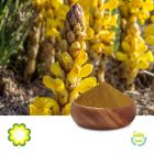 Cistanche Tubulosa Extract 15% Total Glycosides