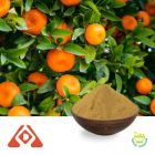 Citrus P.E. Citrus Flavonoids 5% by Hongda