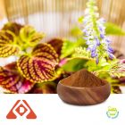 Coleus Forskohlii Extract 4:1 TLC