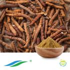 Cordyceps Extract by Hunan NutraMax