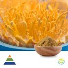 Cordyceps Militaris Powder Polysaccharides 2.5% by KS Nutripharma