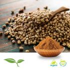 coriander seed bulk