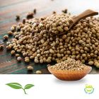 Coriander Seed (Whole) by American Botanicals